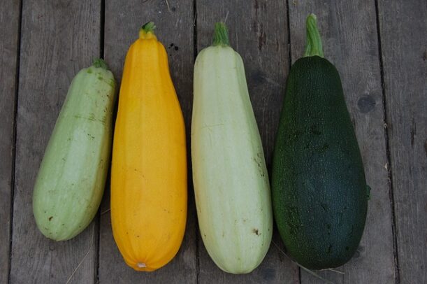 courgette blanche