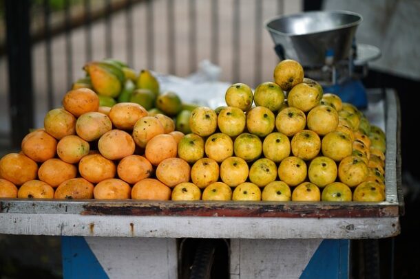 variétés de mangue