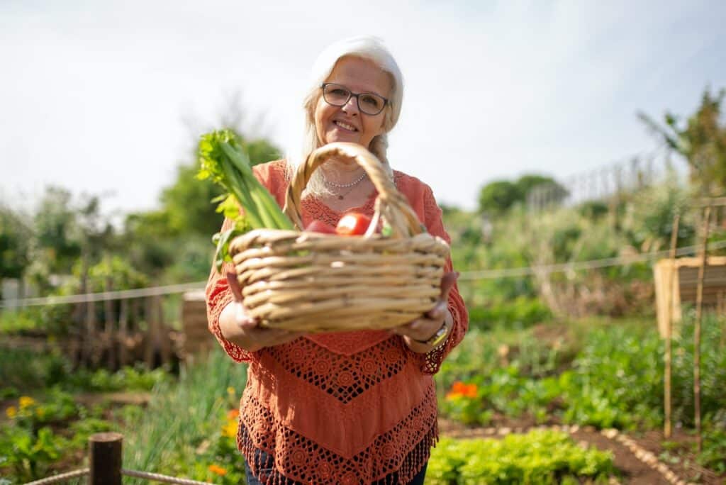 Comment D Marrer Son Premier Potager Mon Coach Jardin