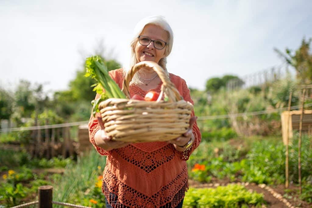 Comment démarrer son premier potager