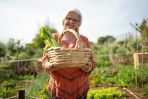 Comment démarrer son premier potager