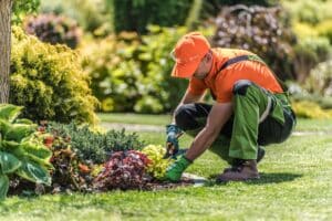 Comment entretenir son jardin pour lutter contre une infestation ?