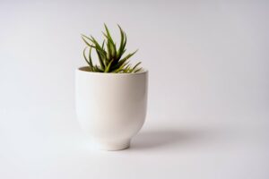 3 conseils essentiels pour choisir une jardinière pour son balcon ?