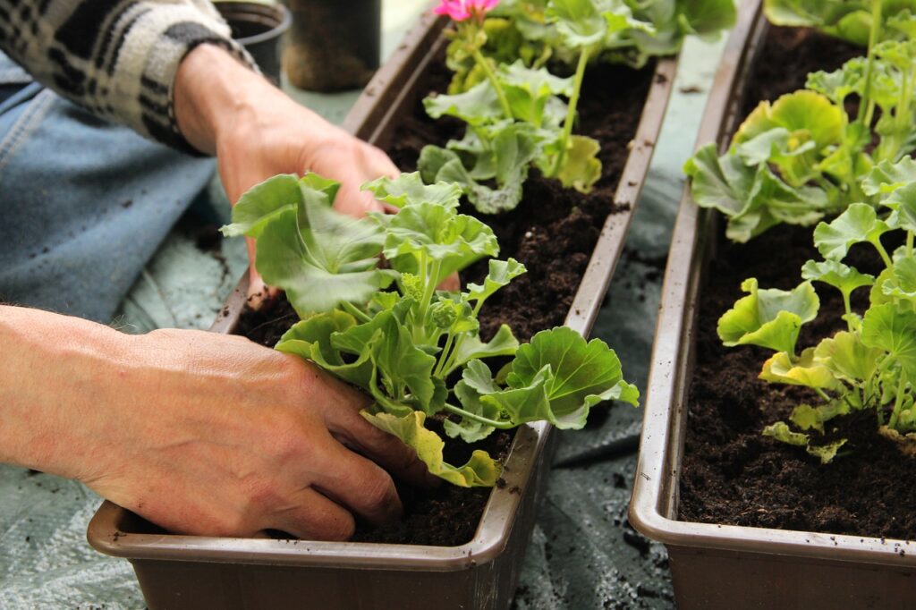 Choisir la jardinière en fonction des dimensions