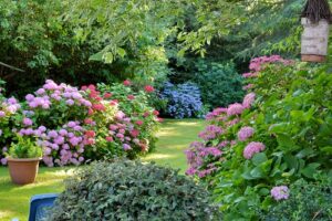 Comment structurer un jardin