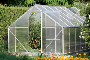 5 Conseils pour cultiver sous serre en permaculture