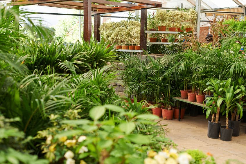Comment faire un jardin de plantes grasses ?