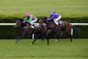 Quel gazon pour un hippodrome ?