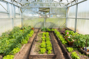 Protection agricole