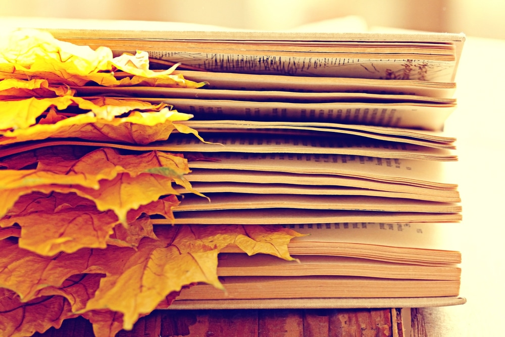 Feuilles pour herbier mises à sécher dans un livre
