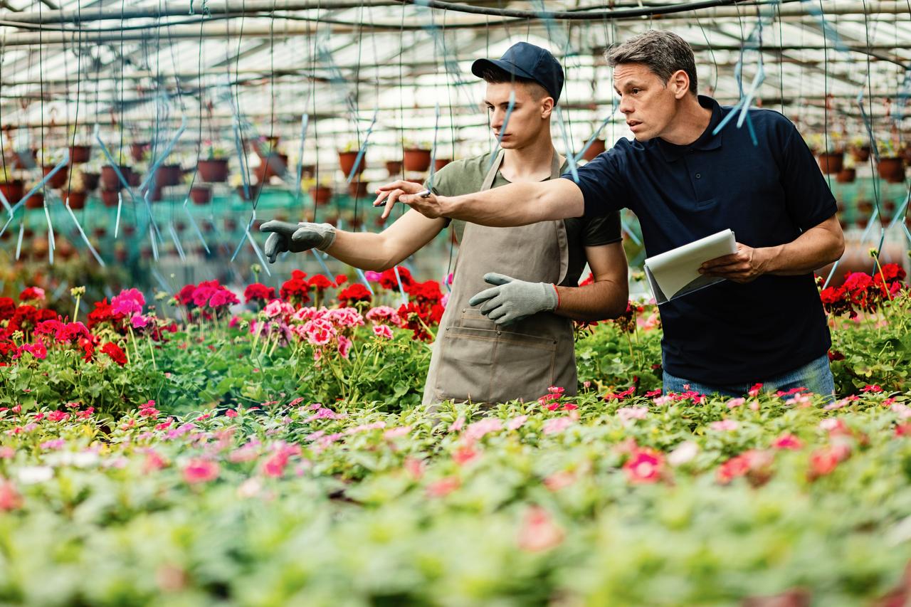 Formation pour jardinerie