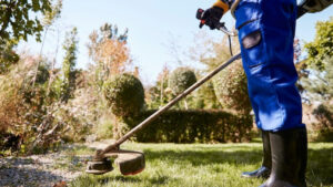 Comment trouver un jardinier à Valenciennes pour un entretien régulier de son jardin ?