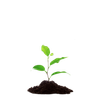 cours de jardinage à domicile offre 2