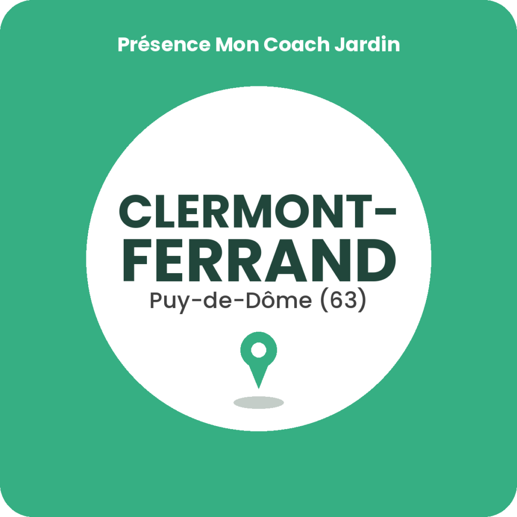 Cours de bricolage à Clermont-Ferrand
