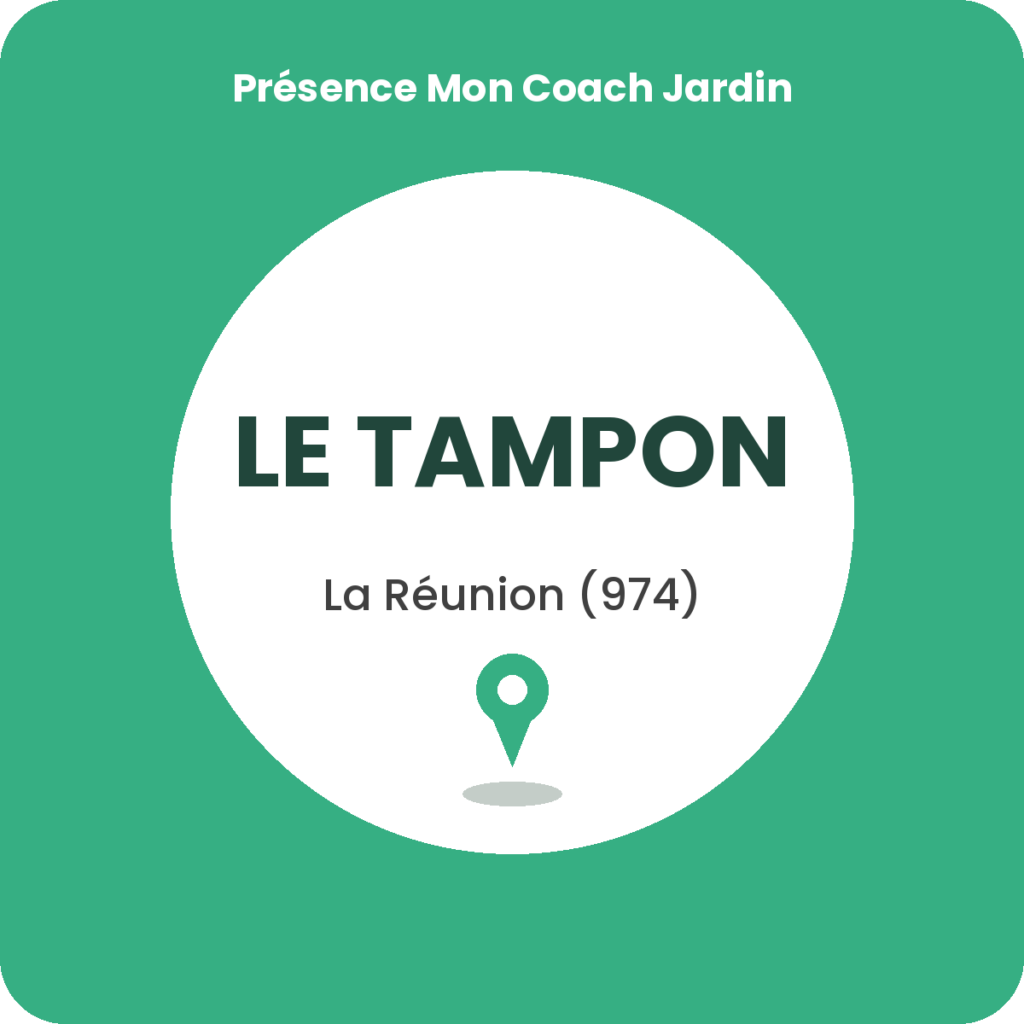 Cours de bricolage au Tampon