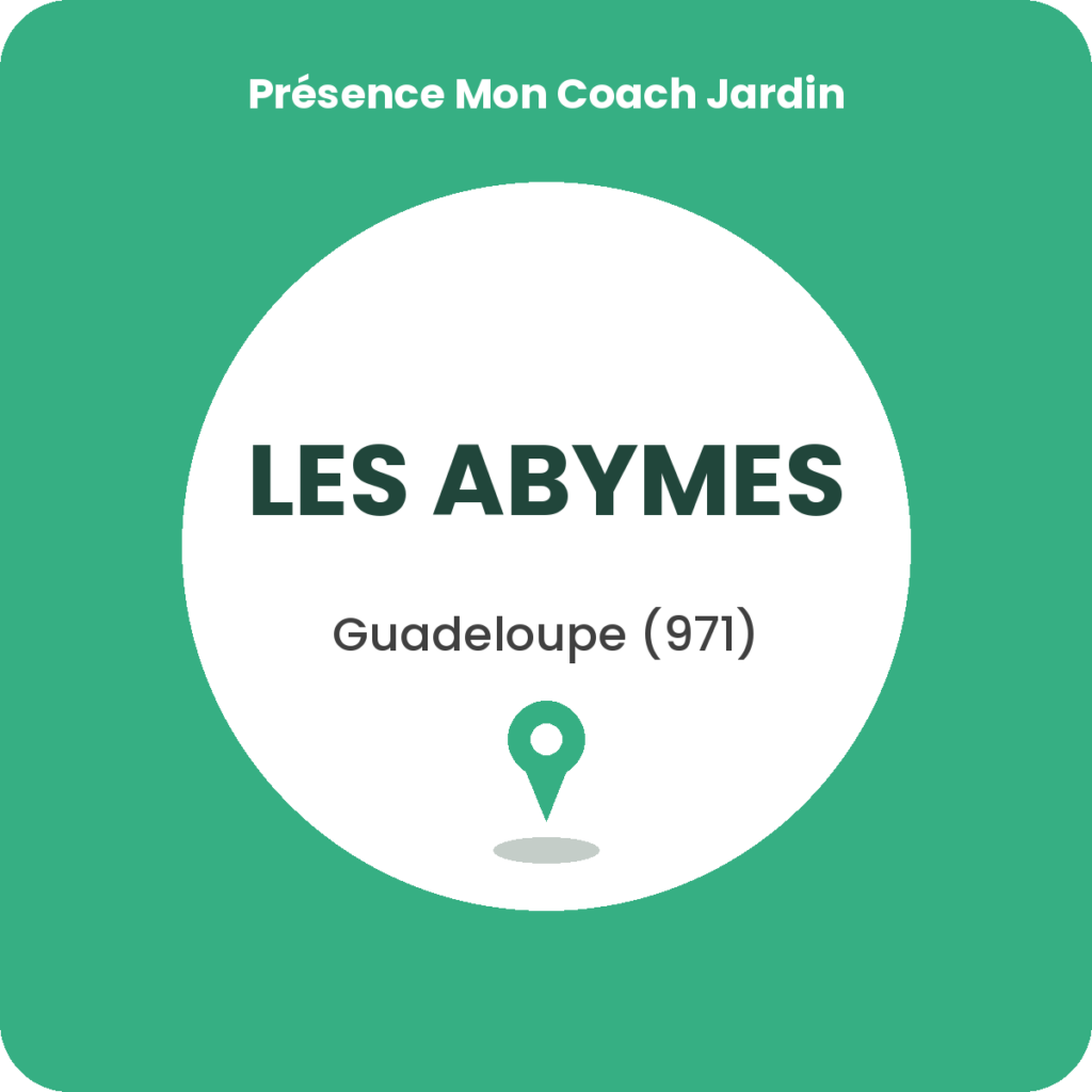 Cours de bricolage aux Abymes