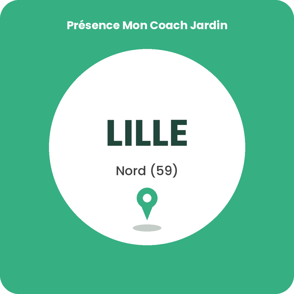 Cours de bricolage à Lille