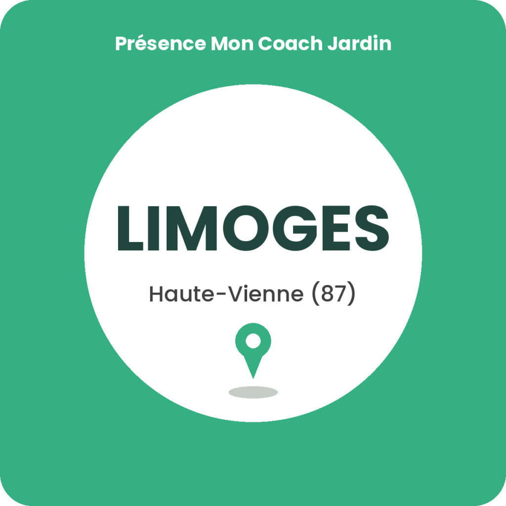 Cours de bricolage à Limoges