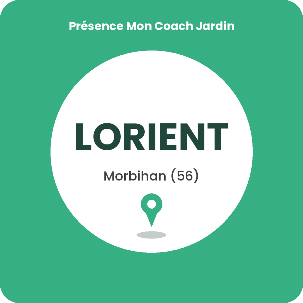Cours de bricolage à Lorient