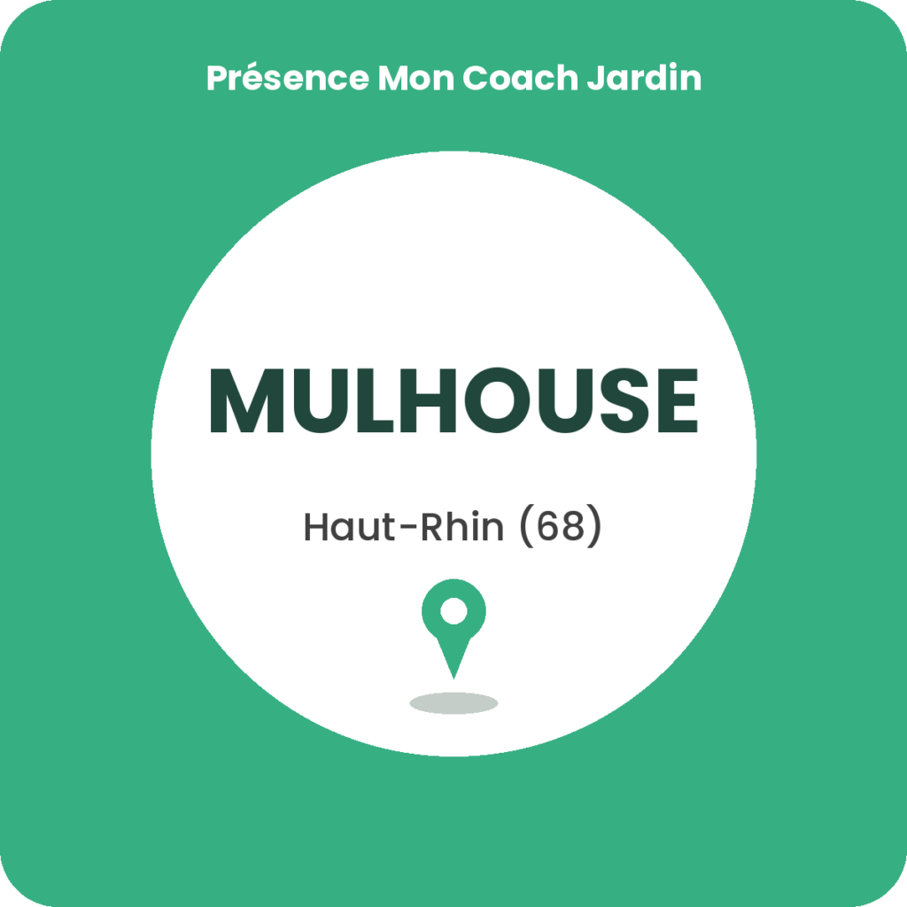 Cours de jardinage à Mulhouse