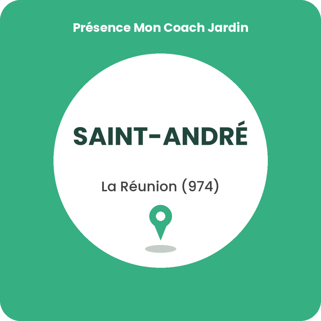 Coaching à domicile en jardinage à Saint-Anddré