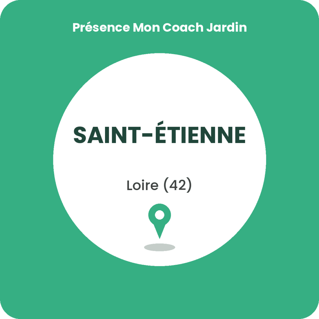 Coaching à domicile en jardinage à Saint Etienne