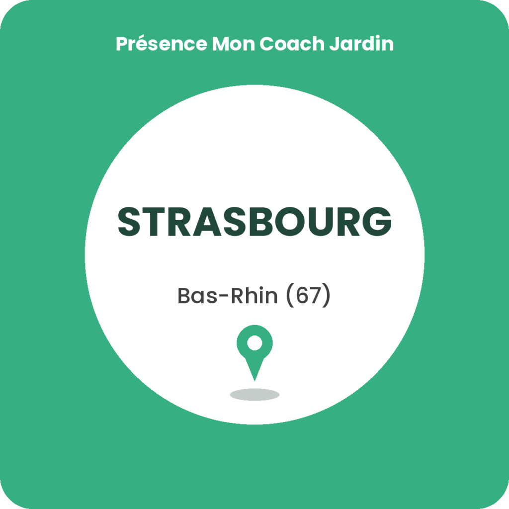 Coaching à domicile en jardinage à Strasbourg